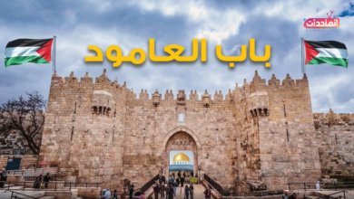 باب العامود