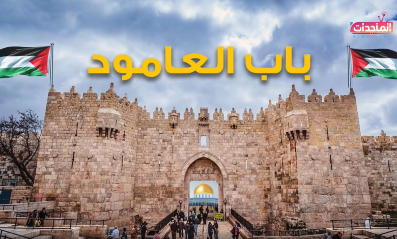 باب العامود